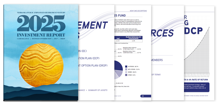 Thumbnail for Investment Report 2024